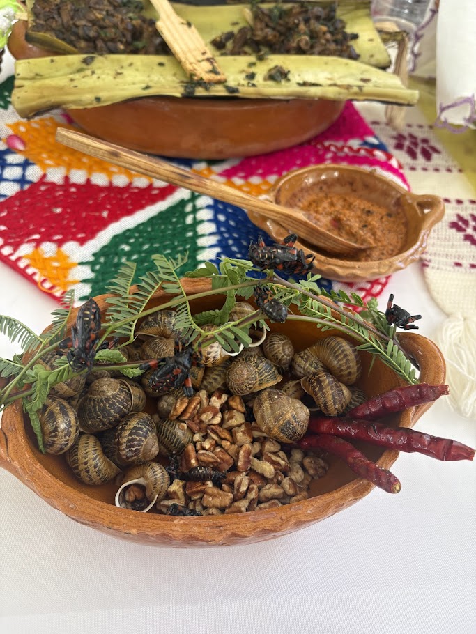 Feria Santiago de Anaya