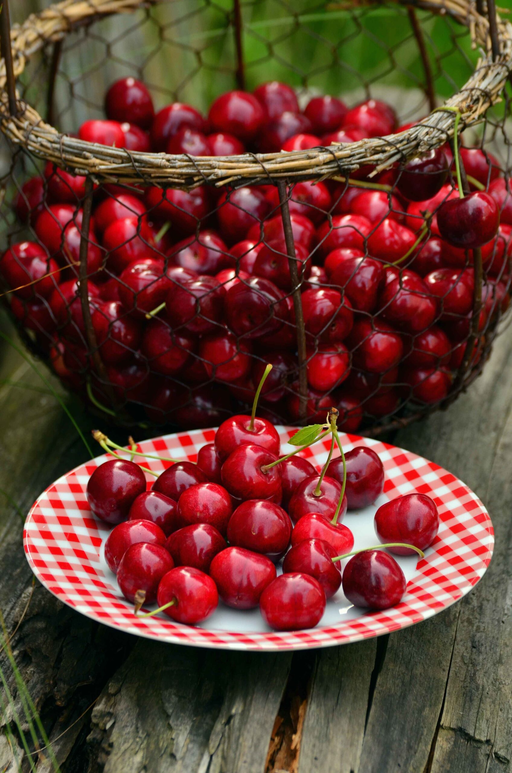 temporada de cerezas