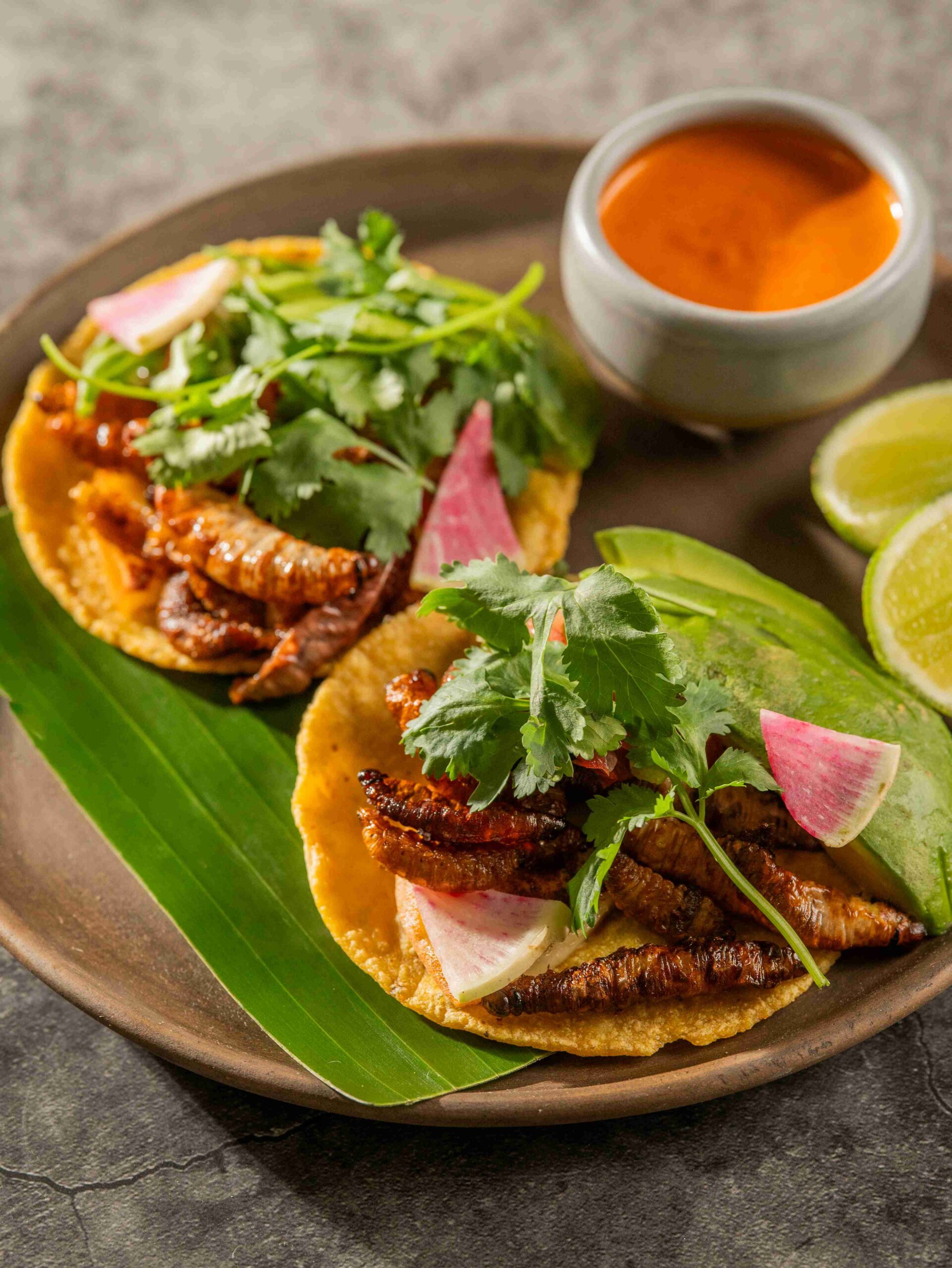 tacos de gusano